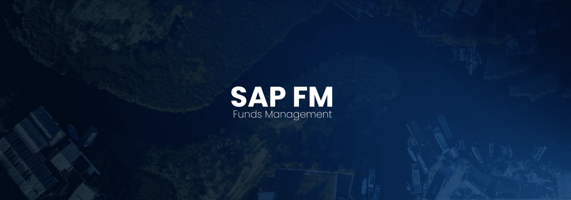 SAP FM