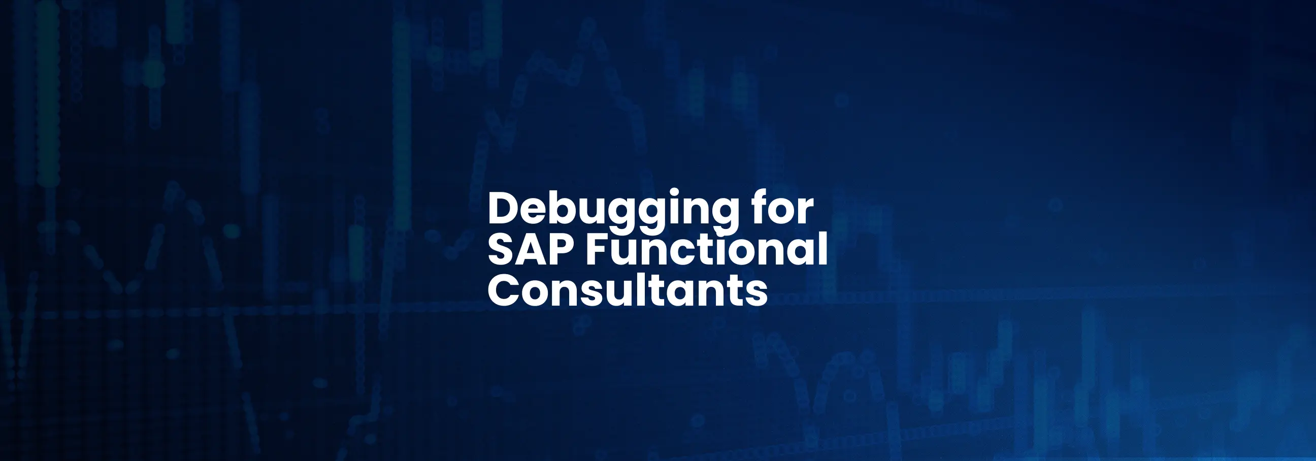 DEBUG PARA FUNCIONAIS SAP
